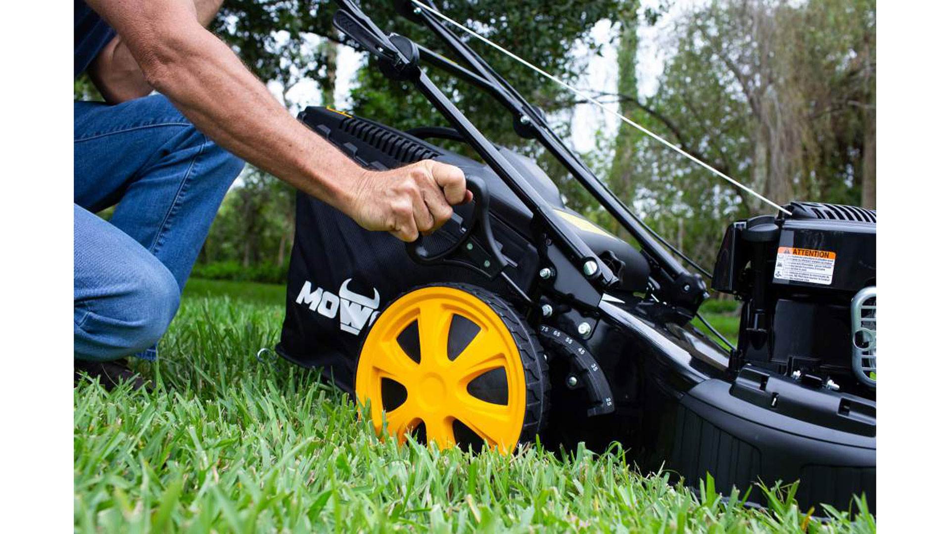 Mowox shop lawn mower